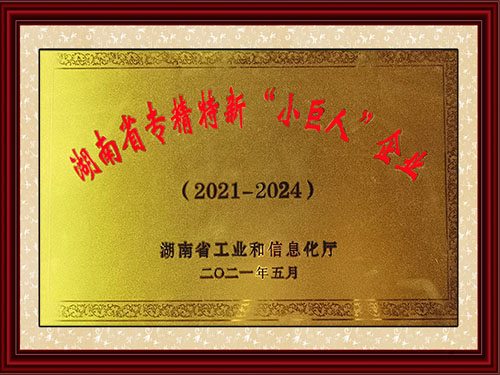湖南省專(zhuān)精特新“小巨人”企業(yè)